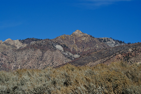 Trailhead0843
