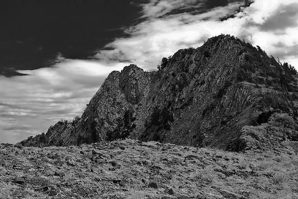 B&W0477