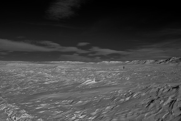 B&W1337